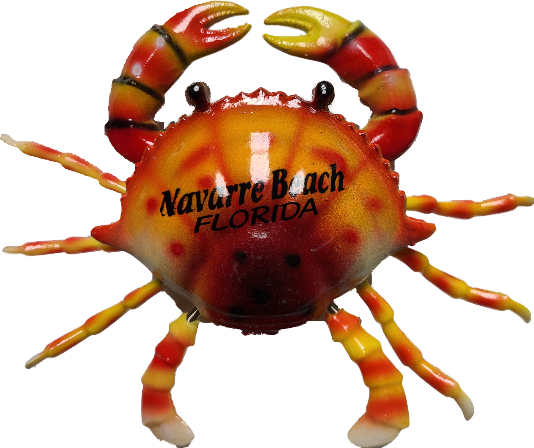 Wiggle Crab Magnet - Island Style Florida