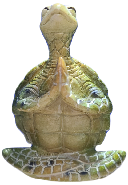 Namaste Yoga Turtle - Image 3