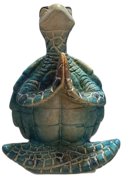 Namaste Yoga Turtle