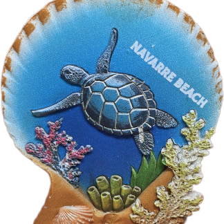 Turtle Scene In Shell