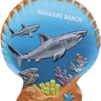 Shark Scene In Shell