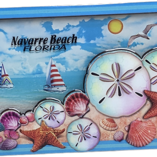 Sand Dollar Relief Magnet