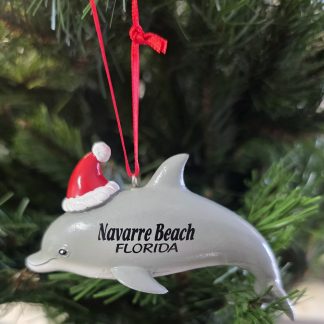 Dolphin With Santa Hat