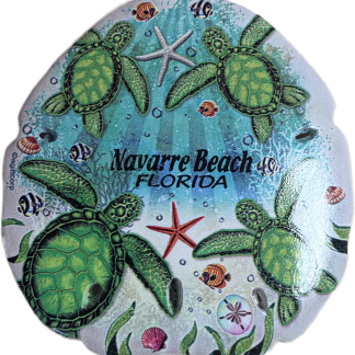 Painted Sand Dollar Turtles Magnet