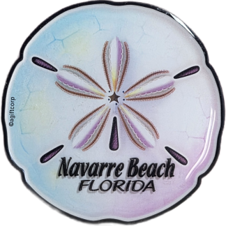 Sand Dollar Magnet